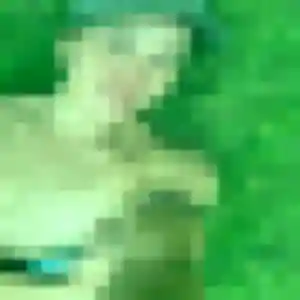 Capucine, femme de 23 ans propose rencontre coquine à Alençon