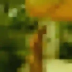 Soraya, fille de 44 ans veut rencontre coquine à Amilly