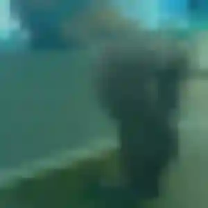Nathalie, 42 ans, en ligne à Armentières pour une rencontre coquine
