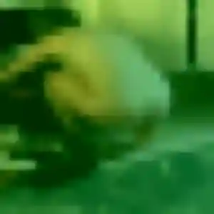 Ursule, 27 ans, en ligne à Avignon pour une rencontre coquine