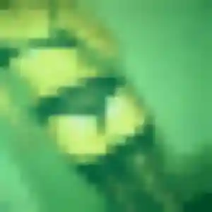 Contacte Rachida, 35 ans à Baillif gratuitement