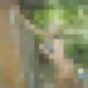 Photo exclusive de Gaelle, 44 ans à Ballan-Miré - rencontre coquine