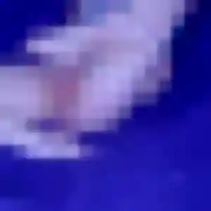 Joana de Bouillargues, 38 ans - rencontre coquine sans prise de tête