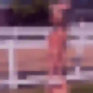 Belle Clementine, 22 ans à Brest - voir sa photo