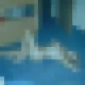 rencontre coquine à Brignoles : photo de Ornella, 40 ans - sans engagement