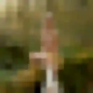 rencontre coquine à Bruguières : photo de Severine, 37 ans - accès libre