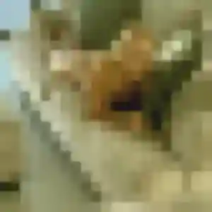 Alicia (23 ans) à Buc cherche un rencontre coquine ce soir