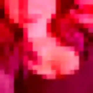 Photo de Eglantine à Cambo-les-Bains (23 ans) - rencontre coquine sans inscription