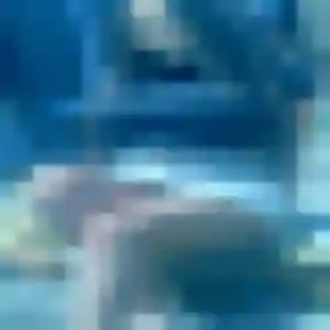 Renee, 20 ans, cherche un rencontre coquine à Cancale