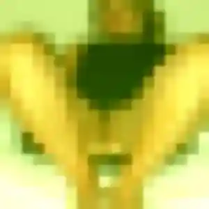 Profil de Debora à Capesterre-Belle-Eau (23 ans) - rencontre coquine anonyme