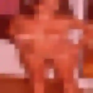 Profil de Gaelle à Cavalaire-sur-Mer (28 ans) - rencontre coquine discret