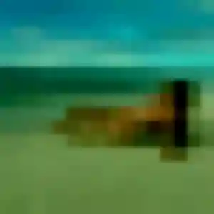 Melanie, 37 ans, dispo pour rencontre coquine à Ceyrat