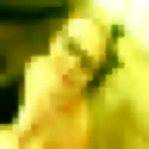 Profil de Pauline à Chanteloup-les-Vignes (45 ans) - rencontre coquine discret