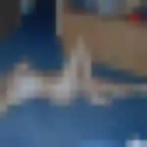 Rym, 20 ans, dispo pour rencontre coquine à Châtillon-sur-Seine