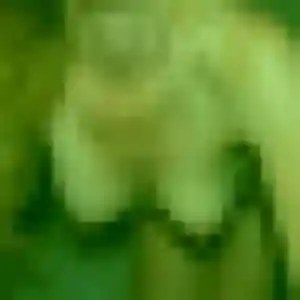 Photo sexy de Apolline, 28 ans à Cognac - plan discret