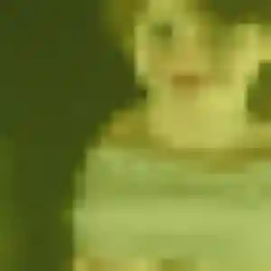 Photo de Isaure à Conflans-Sainte-Honorine (28 ans) - rencontre coquine anonyme