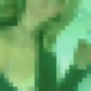 Francine, 31 ans, en ligne à Corte pour une rencontre coquine