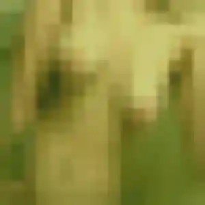 Photo exclusive de Phoebe, 28 ans à Coulommiers - rencontre coquine