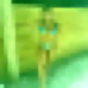 Nora, fille de 39 ans propose rencontre coquine à Cournon-d'Auvergne