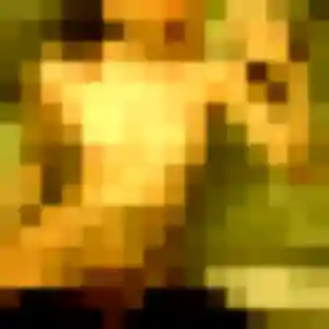 Photo de Ameline à Dammartin-en-Goële (35 ans) - rencontre coquine anonyme
