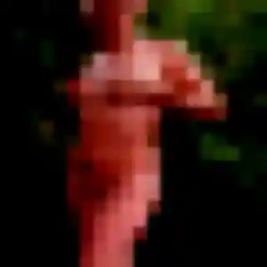 Profil de Sylviane à Dammartin-en-Goële (31 ans) - rencontre coquine sans inscription