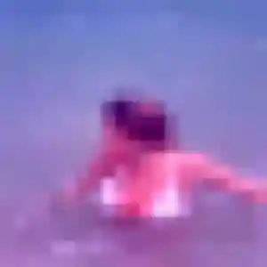 Azalee, 25 ans, en ligne à Dives-sur-Mer pour une rencontre coquine