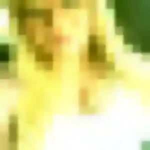 rencontre coquine à Douai : profil de Clementine, 37 ans - inscription gratuite