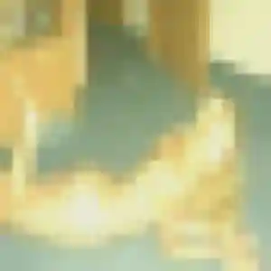 Albertine, 34 ans, dispo pour rencontre coquine à Ensuès-la-Redonne