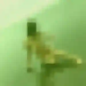 Hermine de Essey-lès-Nancy, 20 ans - rencontre coquine discret