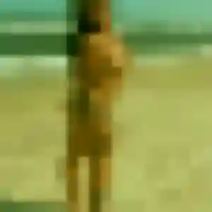 Profil de Amandine à Ferney-Voltaire (31 ans) - rencontre coquine anonyme