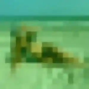rencontre coquine à Fleury-les-Aubrais : photo de Fleur, 40 ans - accès libre