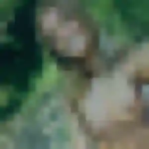 Photo de Hortense à Frontignan (19 ans) - rencontre coquine discret