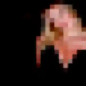 Photo perso de Bettina, 40 ans à Goyave - rencontre coquine