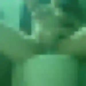 Diane (25 ans) à Granville attend un rencontre coquine maintenant