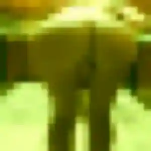 Kawtar, fille de 43 ans cherche rencontre coquine à Groslay