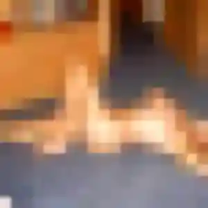 rencontre coquine à Isbergues : photo de Therese, 24 ans - accès libre
