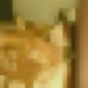Yasmina, 30 ans, cherche un rencontre coquine à L'Isle-Jourdain
