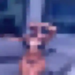 Charlotte, 31 ans, disponible à La Riche pour un rencontre coquine