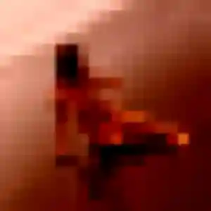 Graziella, 30 ans, dispo pour rencontre coquine à La Trinité