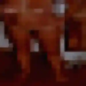 Sophie, femme de 30 ans cherche rencontre coquine à Languidic