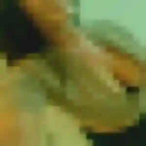 Photo perso de Meriem, 32 ans à Lannilis - plan discret