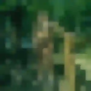Photo perso de Delice, 32 ans à Laxou - rencontre coquine