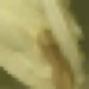 Profil de Gabrielle à Le Pecq (44 ans) - rencontre coquine sans inscription