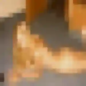 Oceane (33 ans) à Le Vauclin attend un rencontre coquine ce soir