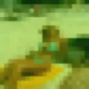 Photo de Elvire à Les Pavillons-sous-Bois (25 ans) - rencontre coquine sans inscription