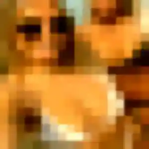 Profil de Zephyrine à Lillebonne (44 ans) - rencontre coquine anonyme