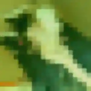 Leonore de Loireauxence, 37 ans - rencontre coquine discret
