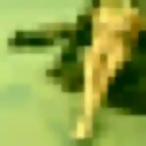 Ulrike, 43 ans, cherche un rencontre coquine à Manosque
