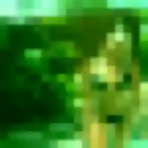 Profil de Orane à Marennes-Hiers-Brouage (25 ans) - rencontre coquine anonyme