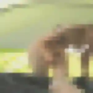 Apolline, femme de 28 ans veut rencontre coquine à Marsillargues